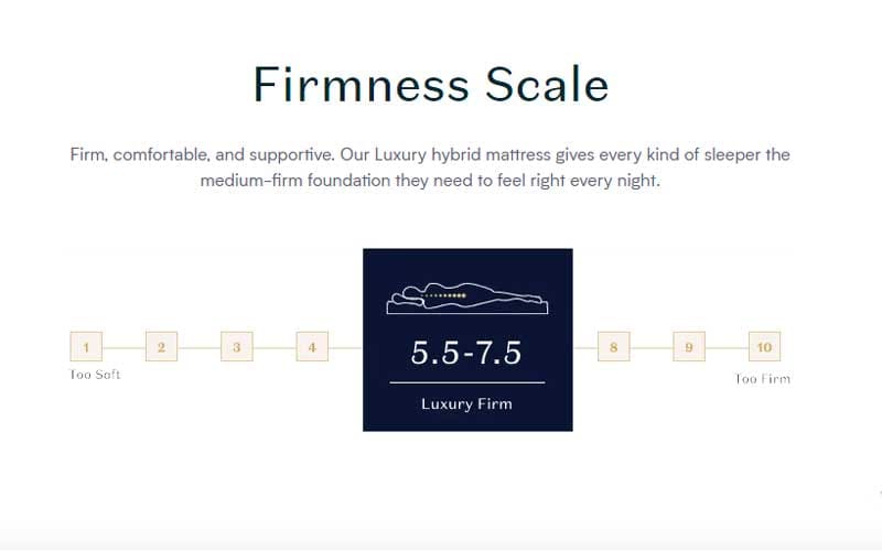 Firmness Level