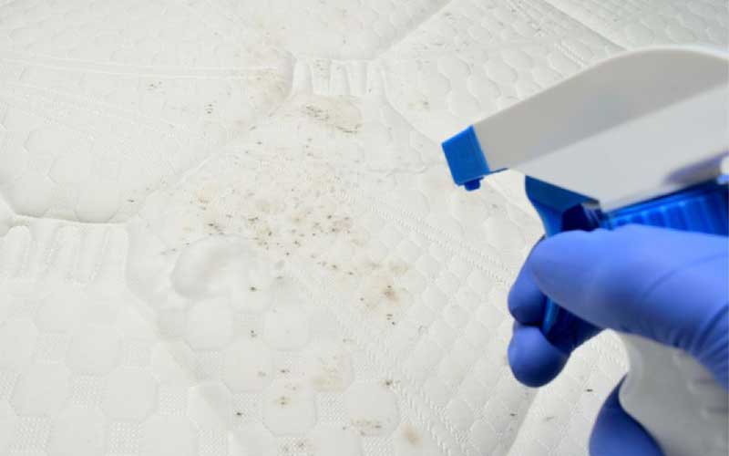 Use enzyme cleaner for biological stains