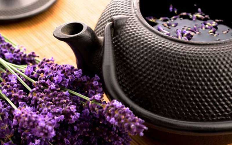 lavender improve sleep quality