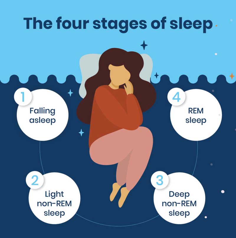 What are the stages of sleep?